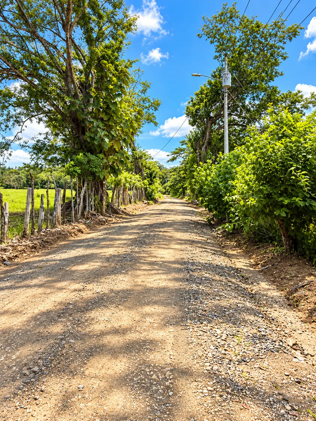 Rural road